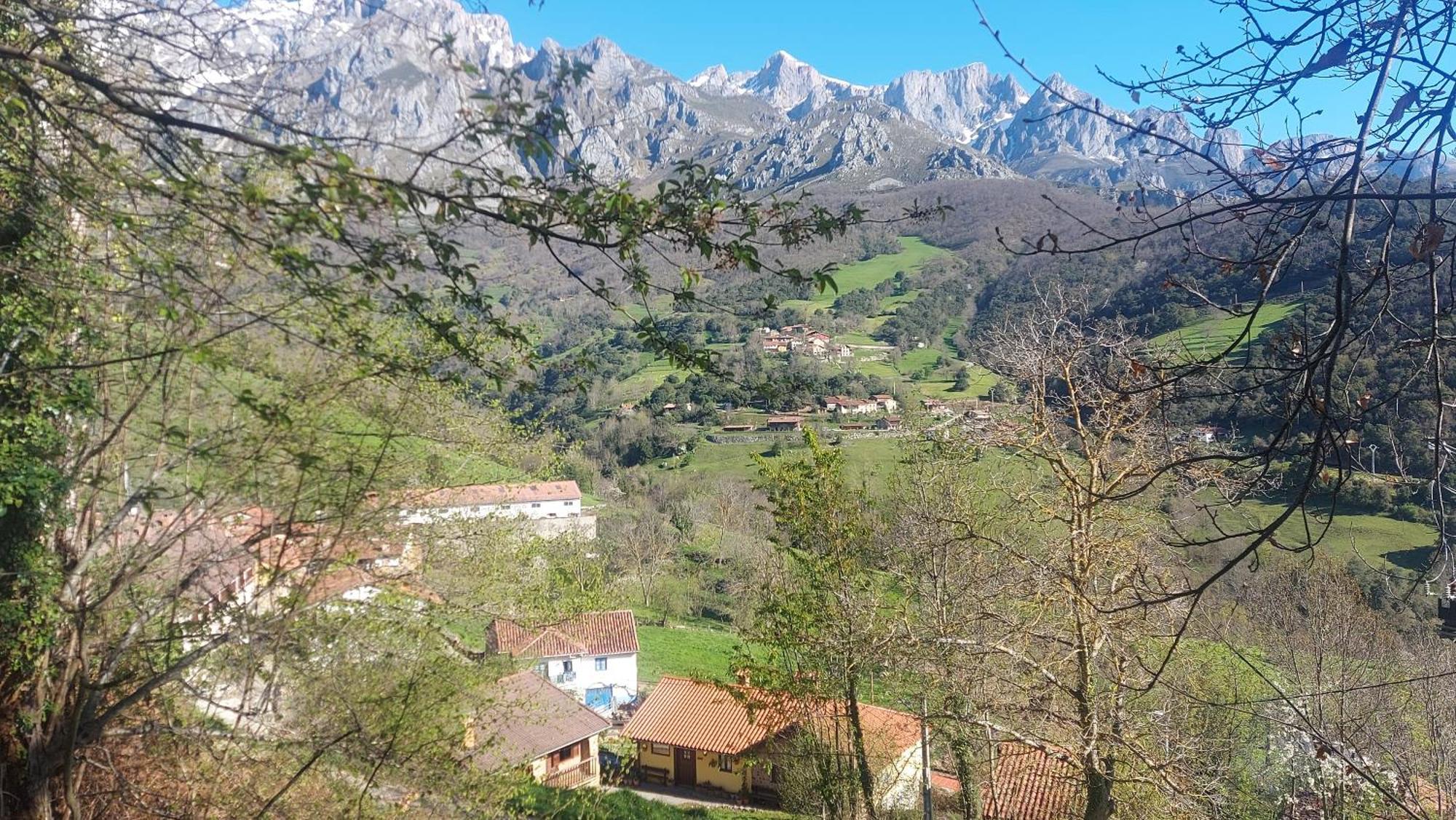 Apartamentos Rurales Los Picos De Redo 카말레노 외부 사진